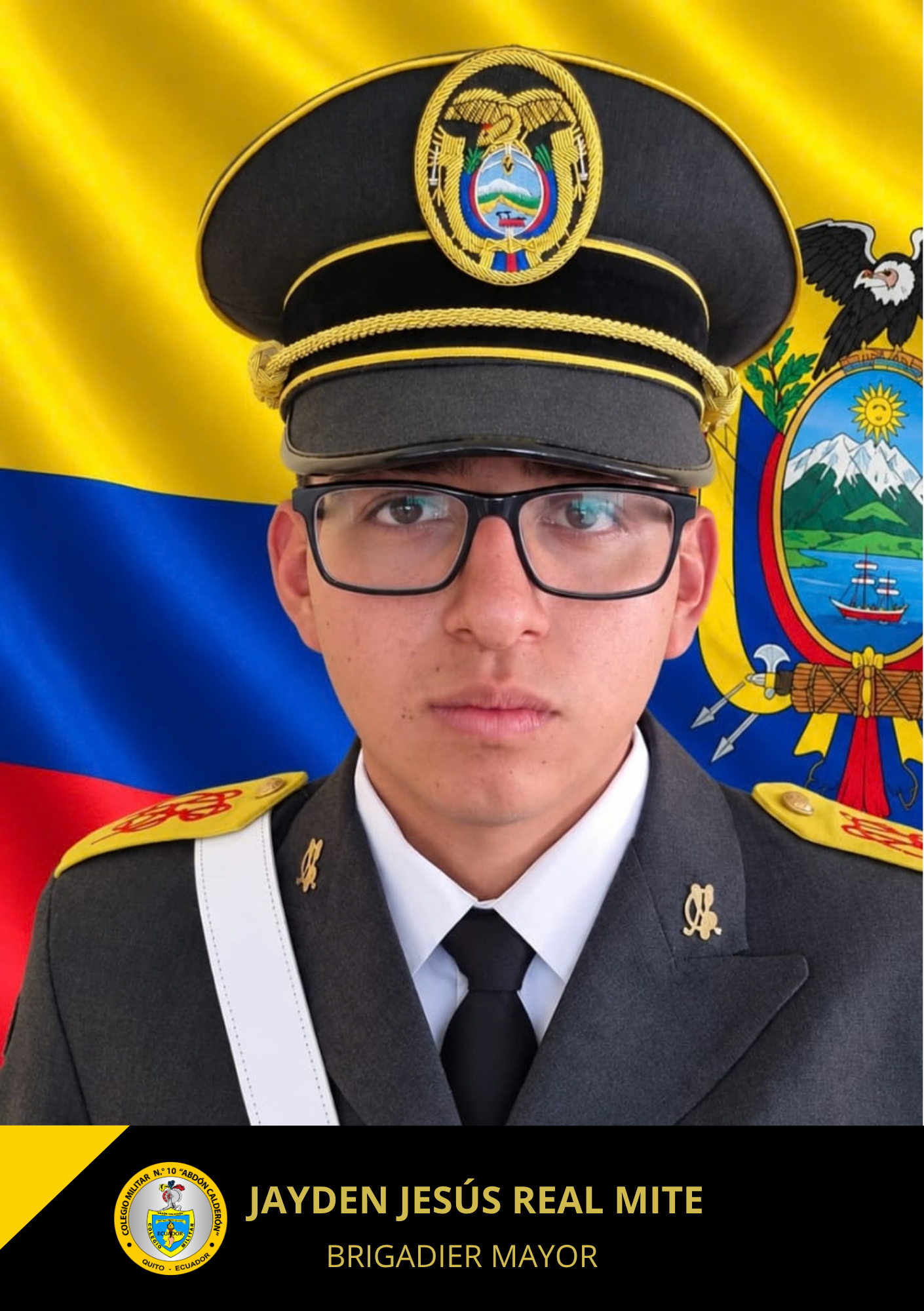 Brigadier Mayor