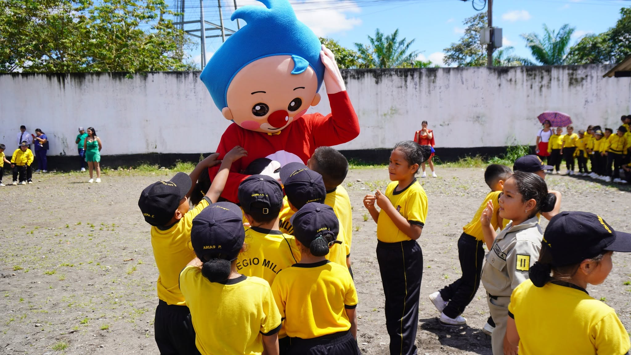 6