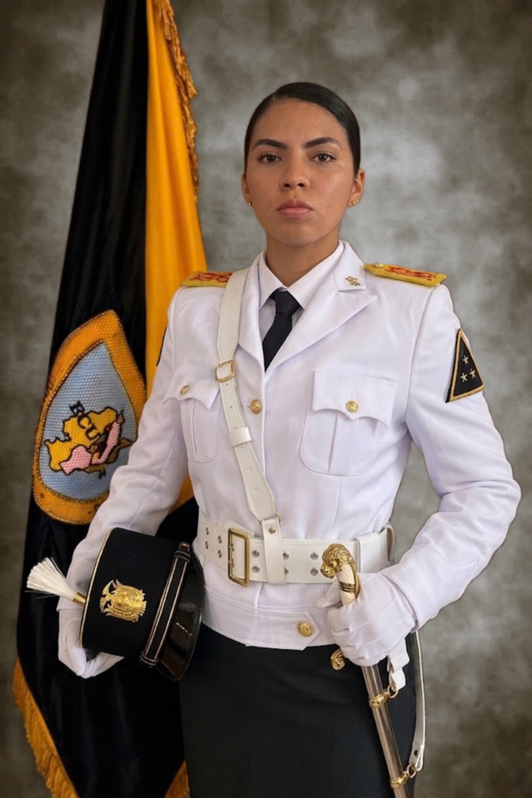Brigadier Mayor
