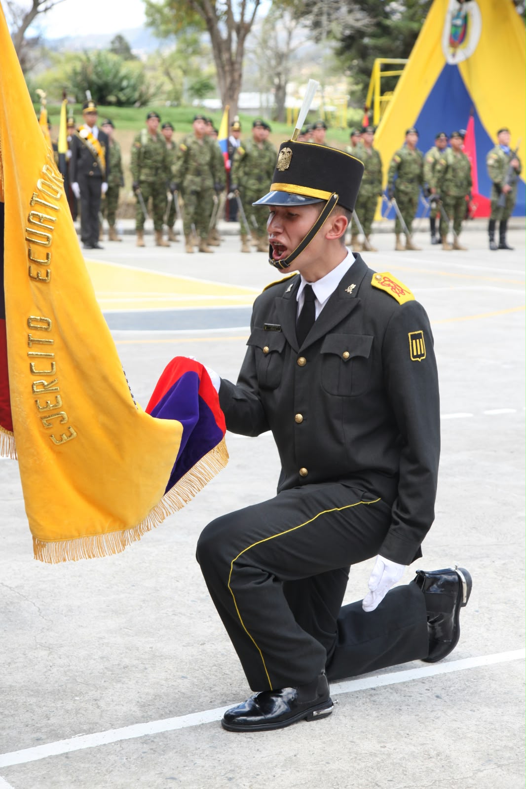Excelencia acad&eacute;mica e institucional